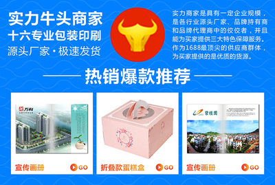 工厂直营画册彩页四折页产品画册定制黑白说明书设计广告宣传册